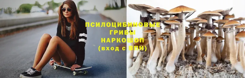 Псилоцибиновые грибы Magic Shrooms  Белоярский 